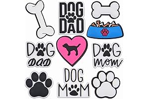 10-Piece Animal Shoe Charms: A Delightful Treat for Best Dads