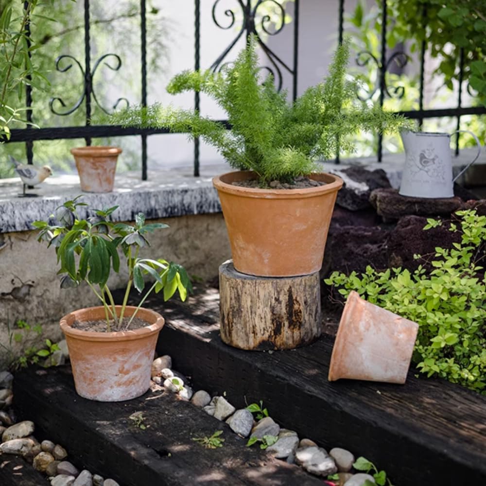 Paquete de 2/3 maceteros de Terracota, macetas de Arcilla Transpirable, macetas de Terracota de Arcilla roja con Drenaje, Maceta de Terracota para Interiores y Exteriores para Plantar Plantas