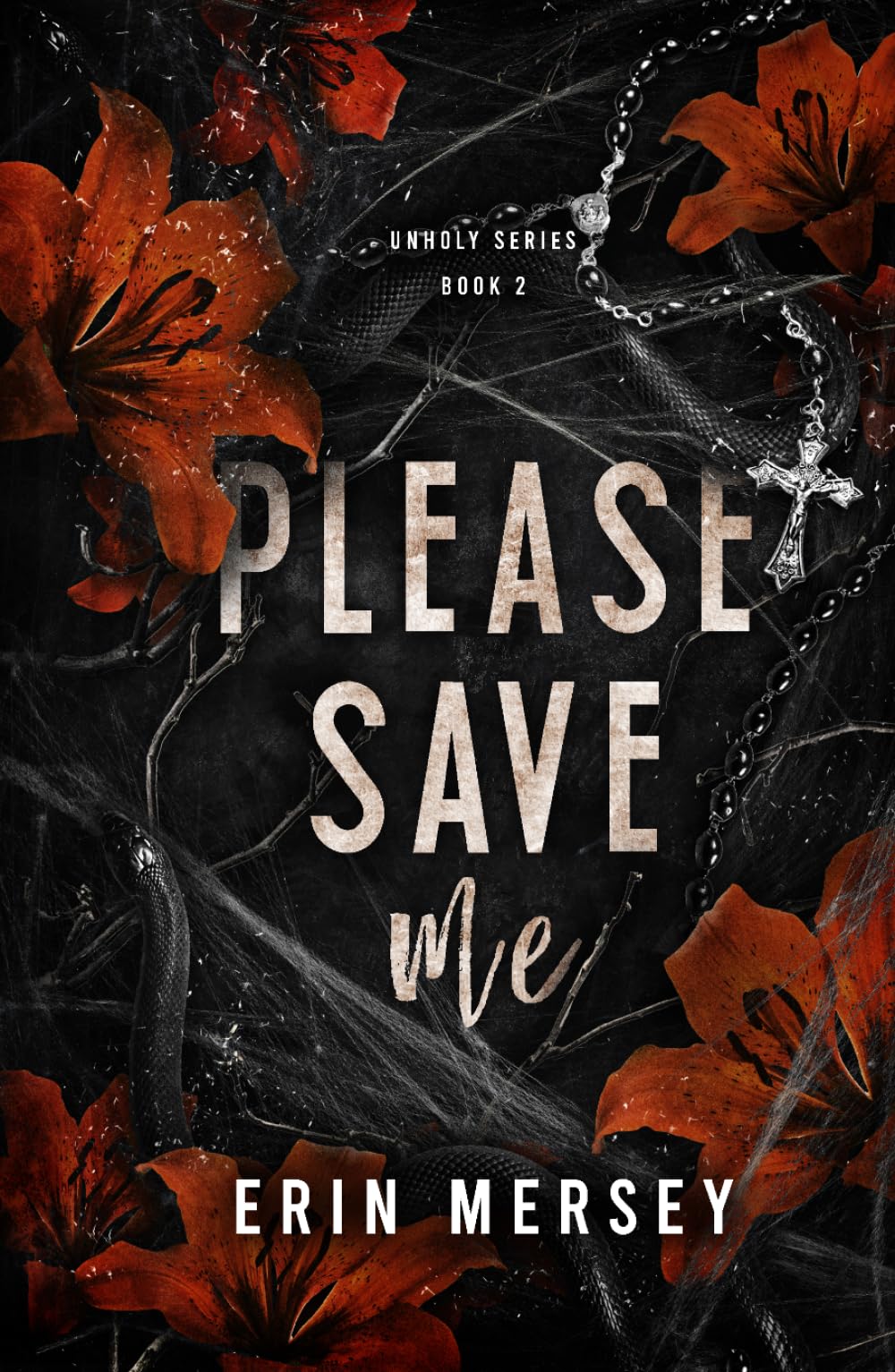 Please Save Me: Unholy Series Book 2
