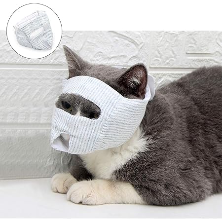 jorvet cat muzzle
