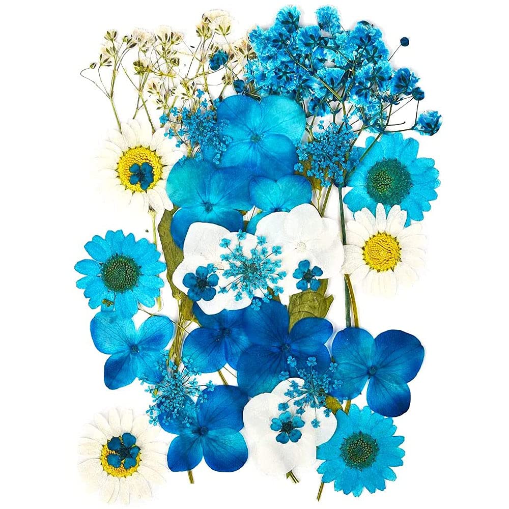CENPEK Dried Pressed Flowers Natural Dried Flowers Real Pressed Flowers Colorful Dry Flowers for Resin Jewelry Nail Art Craft DIY (Blue)