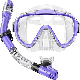 Snorkel Set Adults Snorkeling Gear Anti-Fog Panoramic View Swim Mask Dry Top Snorkel Kit with Carry Bag for Snorkeling Scuba Diving Swimming Travel