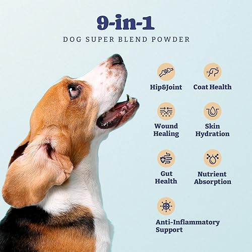 Miniatura 4 de YoYoBay Soporte conjunto para mascotas