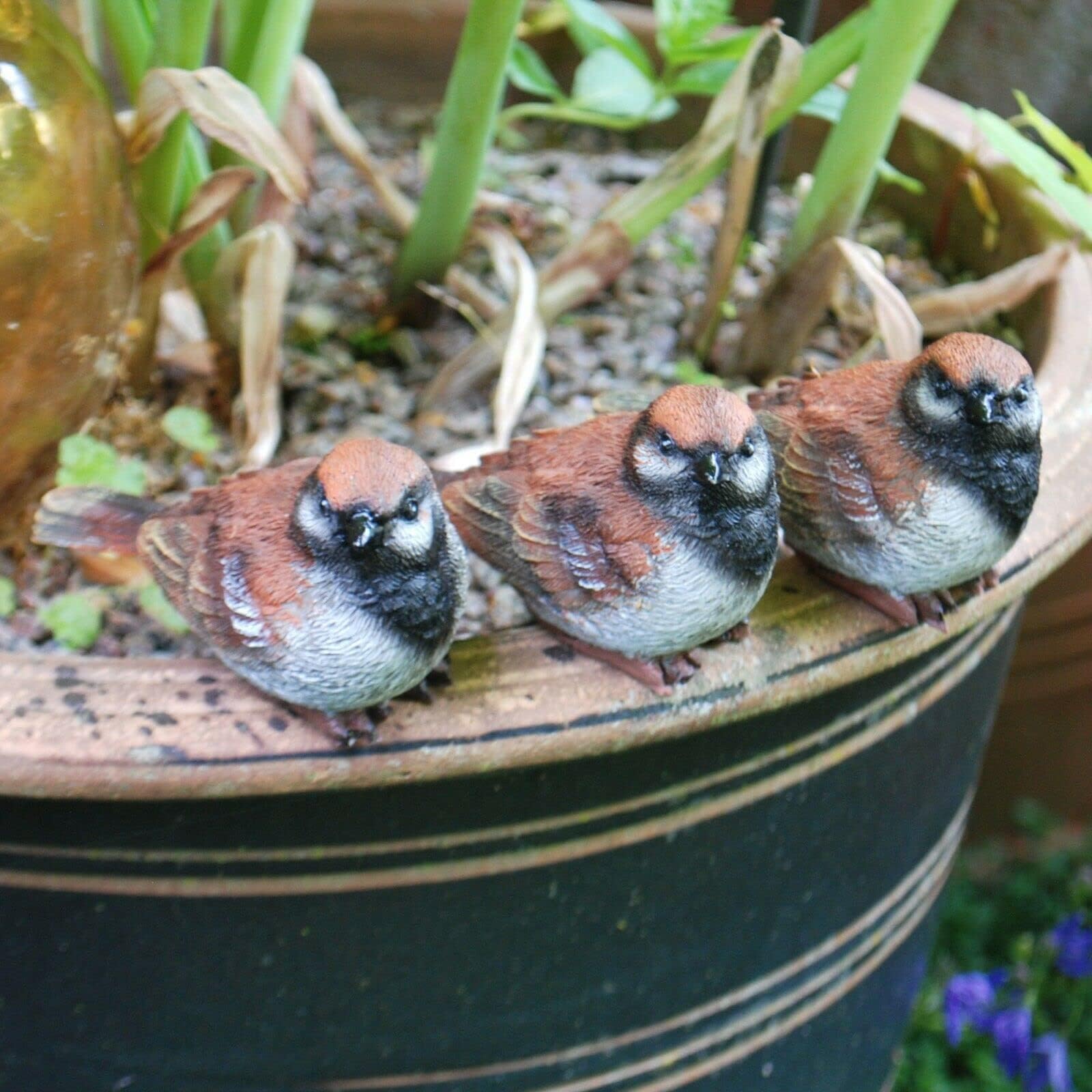 3 Pot Topping Sparrow Bird Garden Ornaments Outdoor Animal Statues