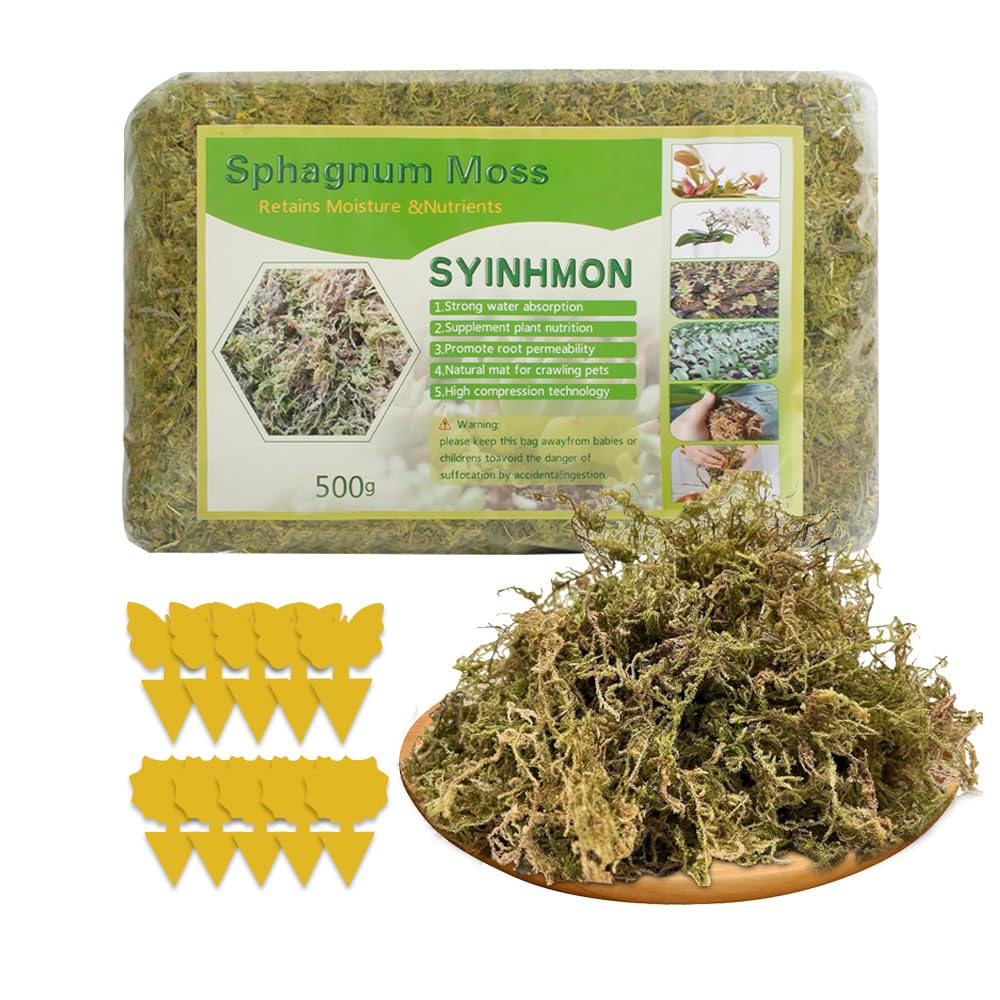 Sfagno per Orchidee 500g Muschio Cileno per Felci a Corno di Cervo, Piantine e Radicazione