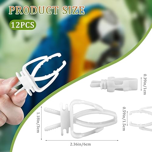 Miniatura 2 de 12 clips para jaula de pájaros, jaula de pájaros, soporte para alimentos, loro, fruta, verduras, clips para alimentador de jaula para periquitos,
