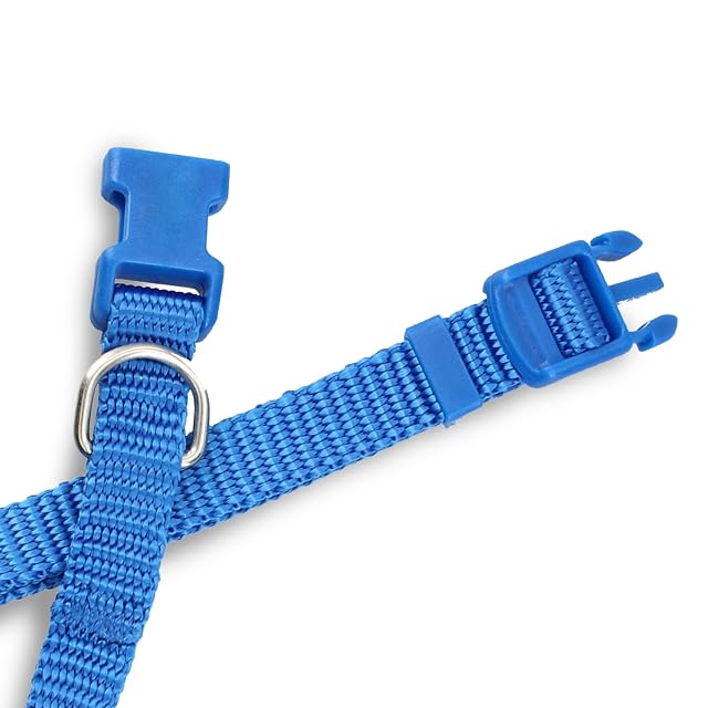 Foto 7 de 8 de Collar para Perro Cuello Perros Mascotas Cómodo Impermeable Fácil Limpiar Hebilla Liberación Rápida (XS-S