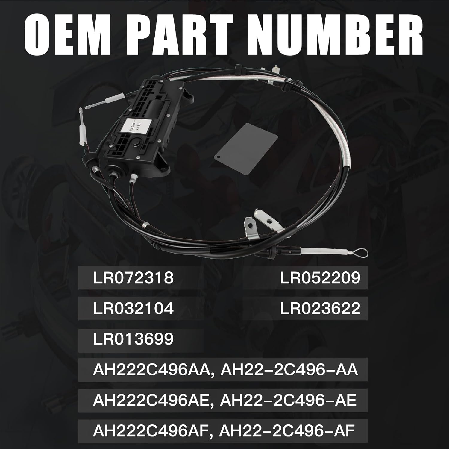 https://m.media-amazon.com/images/I/719fb3dvJsL._AC_SL1500_.jpg