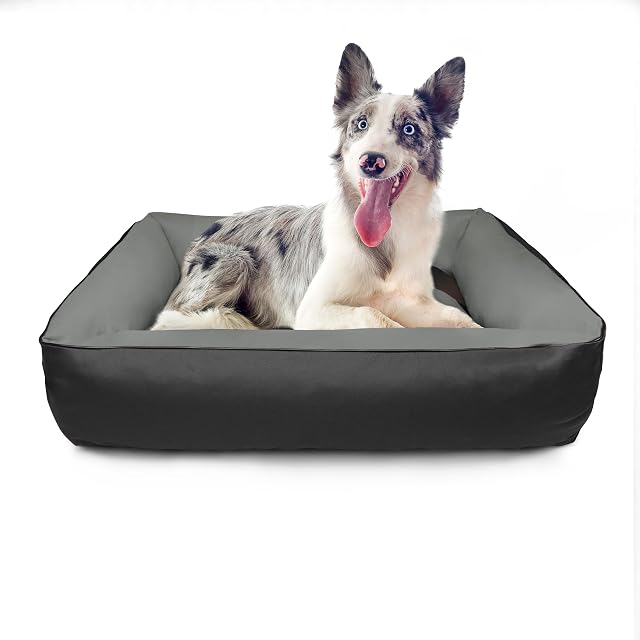 Foto 4 de 7 de BedDog 2en1 colchón para Perro MAX Quattro XL Aprox. 100x85 cm, 8 Colores, Cama, sofá,Cesta para Perro