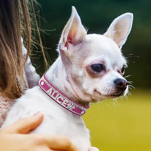Miniatura 5 de Collar de perro de cristal personalizado con nombre brillante, collar de perro con diamantes de imitación brillantes para perros pequeños, medianos