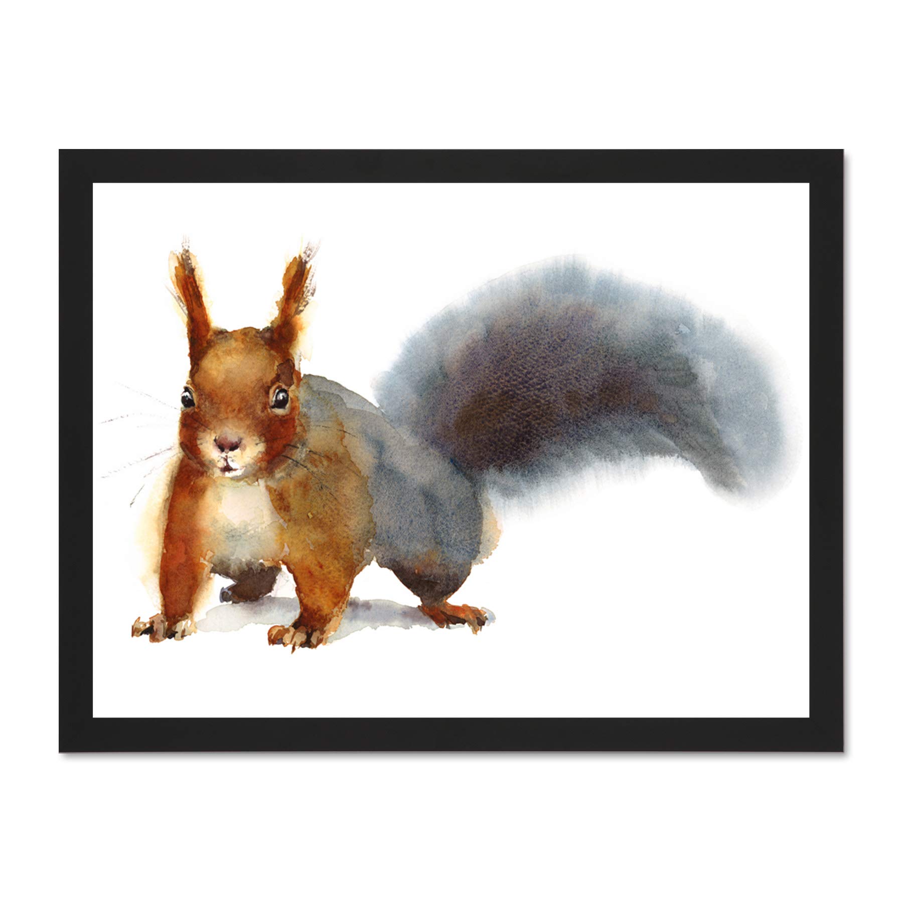 Wee Blue Coo Squirrel Watercolour Cute Large Framed Art Print Wall Poster 18x24 inch
