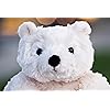 Product Photo 7