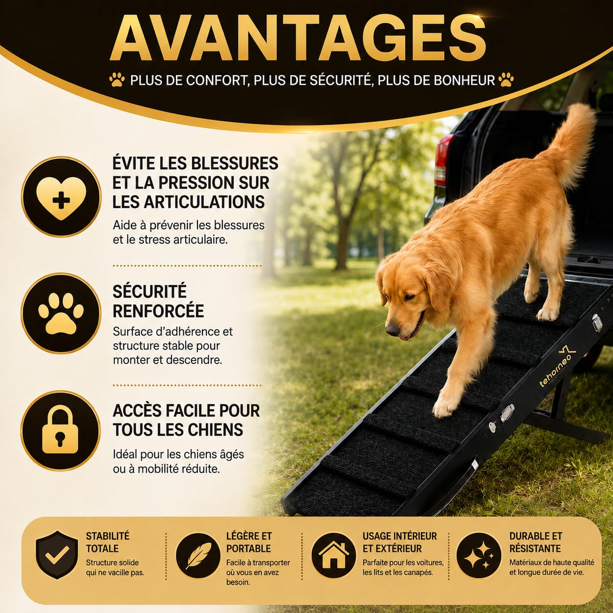TEHORNEO Rampe pour Chien, Rampe Chien 4 Hauteurs de 25 cm à 41 cm, Escalier pour Chien Supporte jusqu'à 20 kg avec Tapis Antidérapant, Rampe pour Chien Canapé, Rampe pour Chat, Escalier Chien