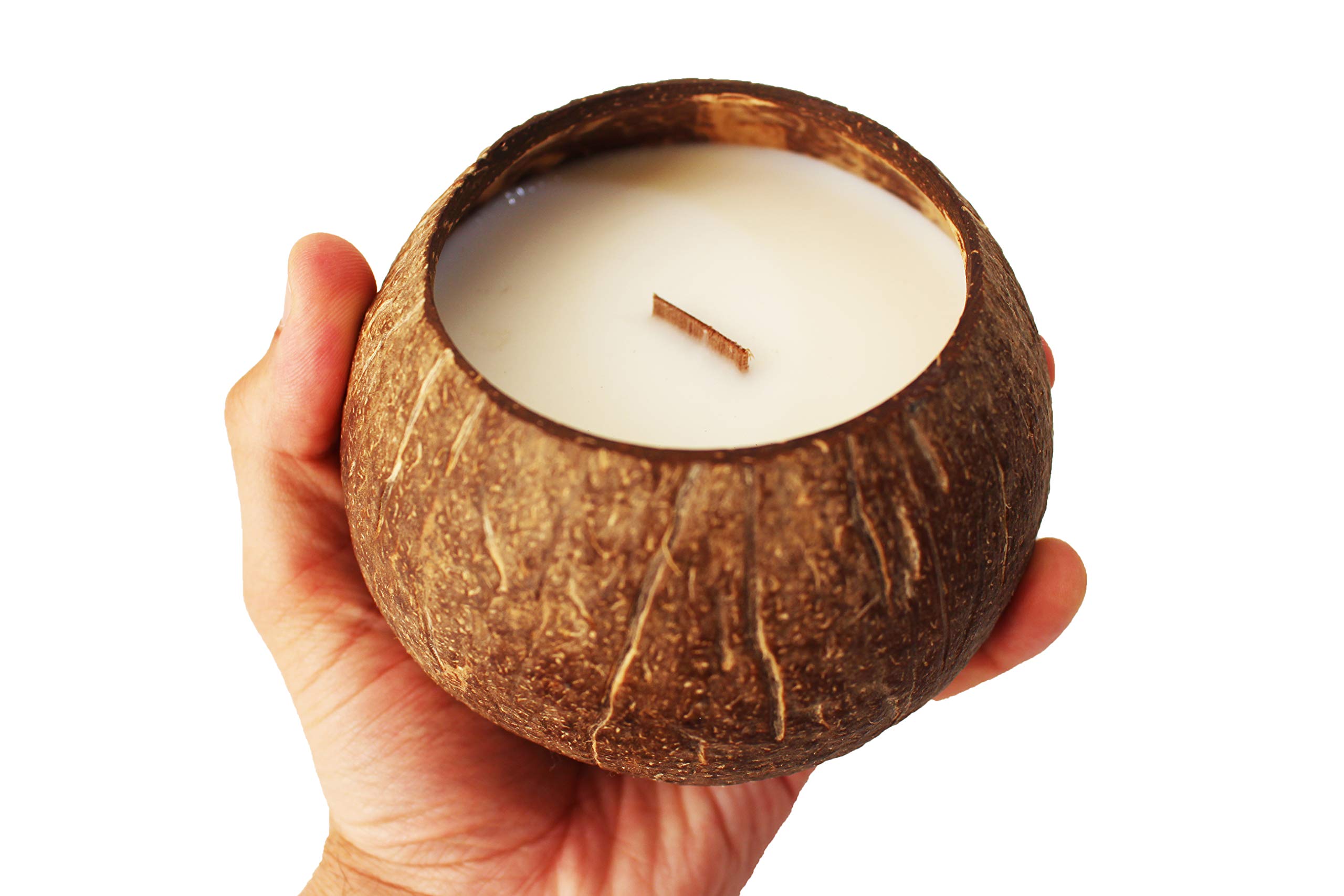 Eco Four TwentyNatural Coconut Candle in a Real Coconut! Mixture of Natural Coconut and Soy Wax - Burns Over 40 Hours! (Natural Coconut Scent)