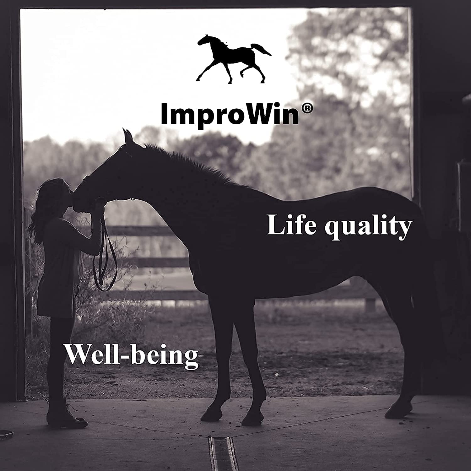 para caballos Polvo para mejorar la salud intestinal, digestión y dolor de fetlocks/dermatitis pastern. fórmula de ciencia noruega con sales naturales de ácidos orgánicos.