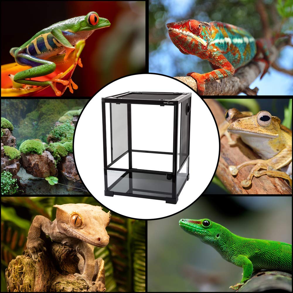 ReptiZoo Terrario de Cristal 45 x 45 x 60 cm con Puerta giratoria, Desmontable. RK0110NS (sin Contenido).