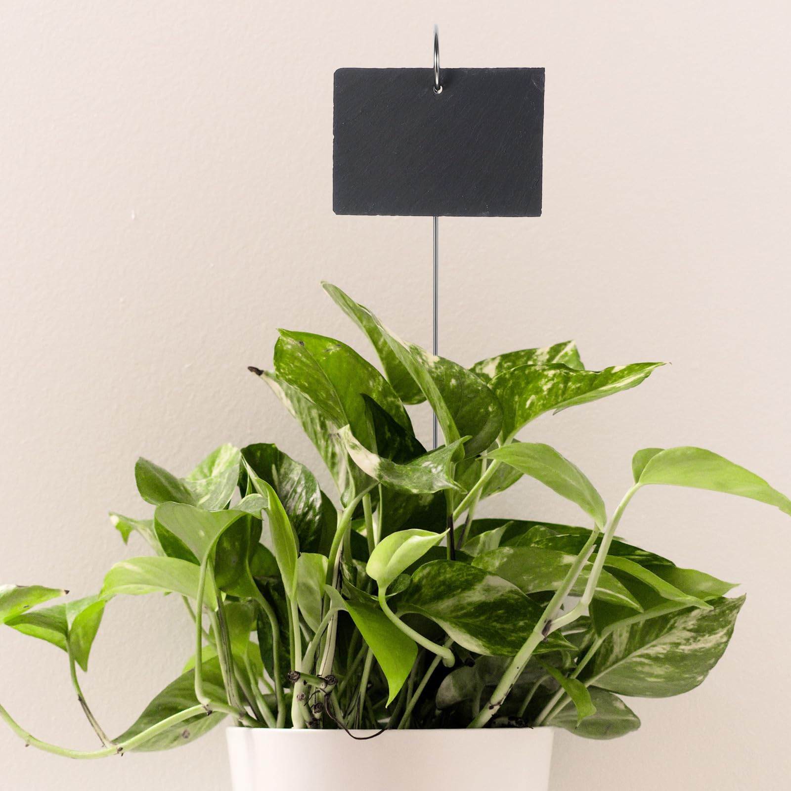 Edelstahl Pflanzenstecker für Gartenpflanzen Langlebige und Einfach zu Beschreibende Pflanzenschilder in Schwarz für Blumentöpfe und Gartenarbeit