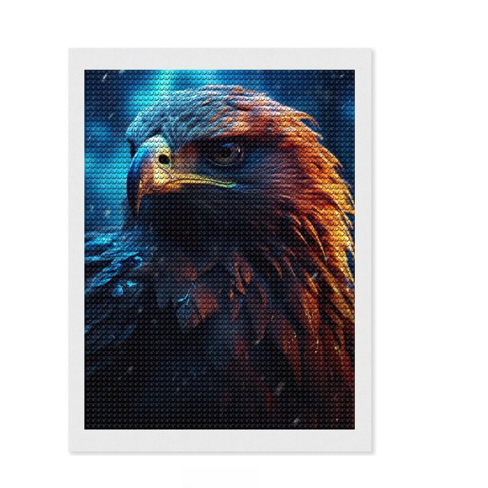 Junmoney Epic Rainy Hawk Full Drill Diamond Painting Kit 12"x16", Good for Quiet Evenings, Fun Craft Experience, Living Room Decor, Gift Idea