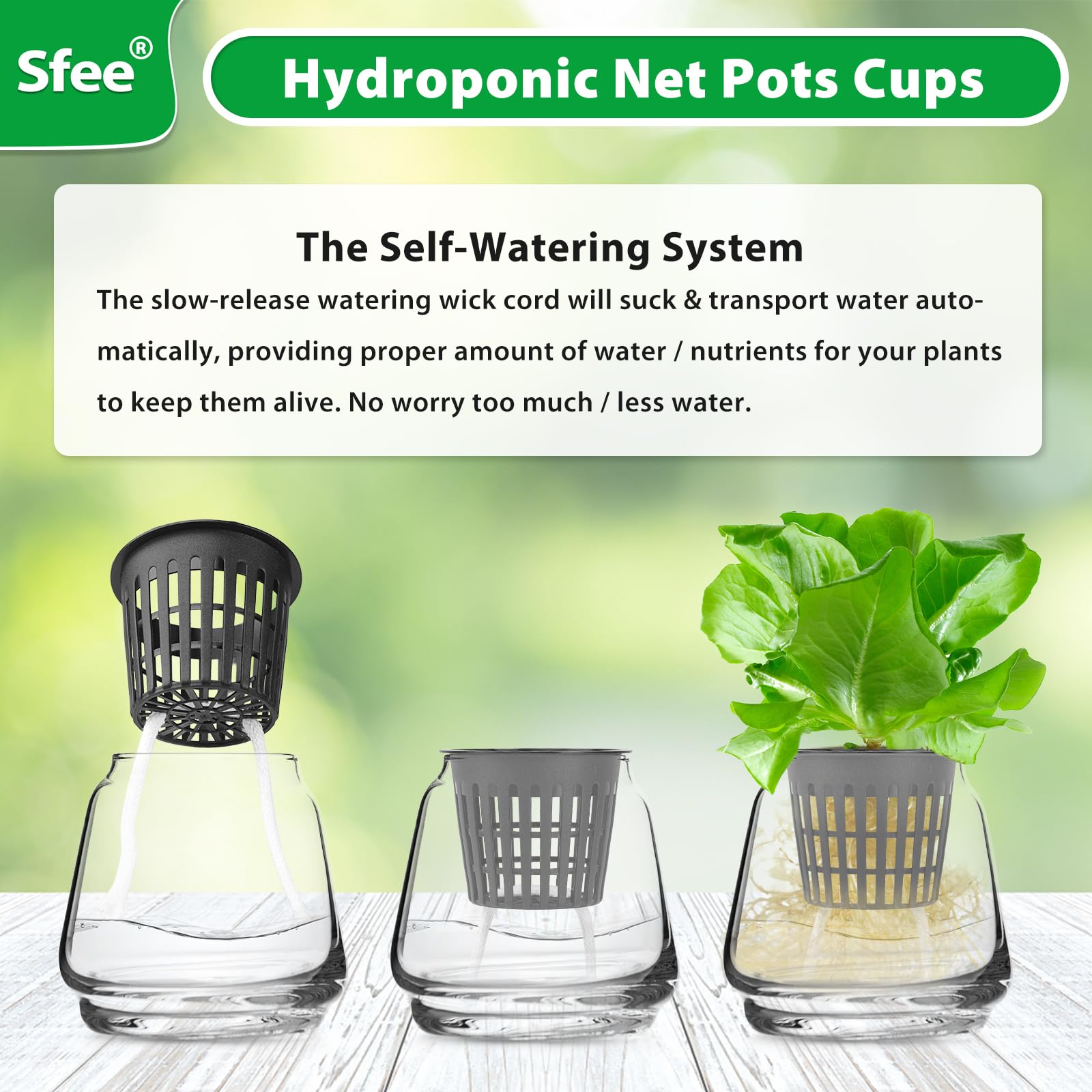 Kit Hydroponie 20 Pots Filet 2" + 36 Cubes Laine De Roche + Mèches Coton Auto-Arrosage – Culture Sans Terre Intérieure