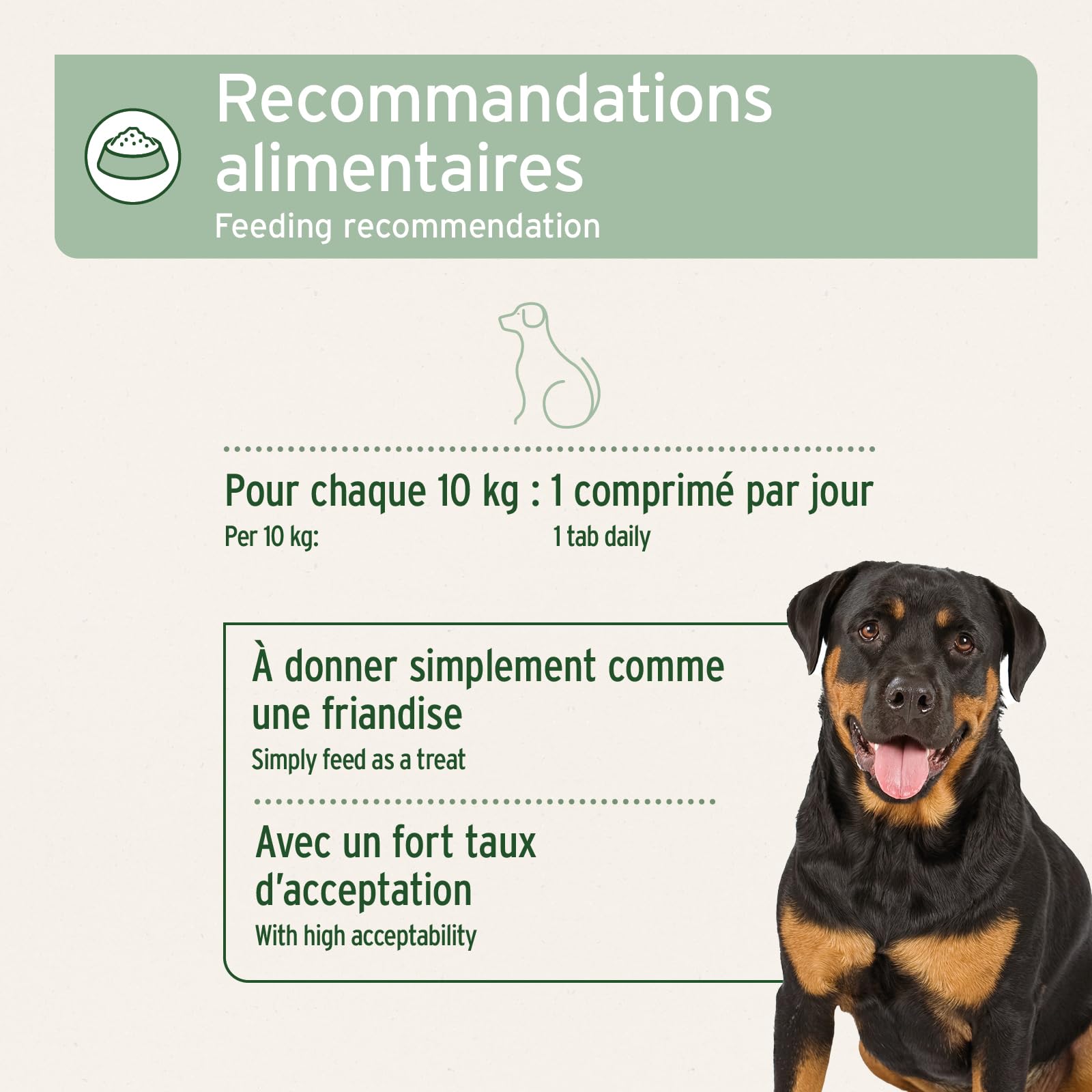 AniForte Comprimés Articulations 300 pcs pour Chiens – Moules aux Orles Verts, Oméga-3, Collagène et Griffe du Diable – Soutien Articulations & Tendons