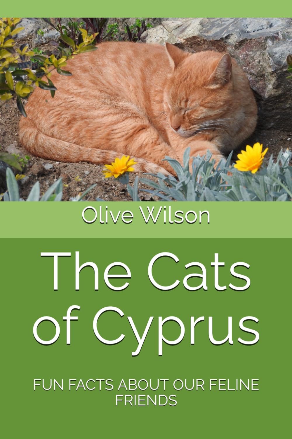 The Cats of Cyprus: Fun facts about our feline friends