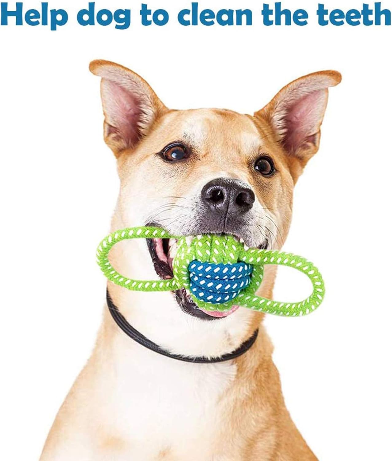 Sunshine smile Puppy Dog Chew Toys,Ball Rope and Chew Toys,Puppies toy