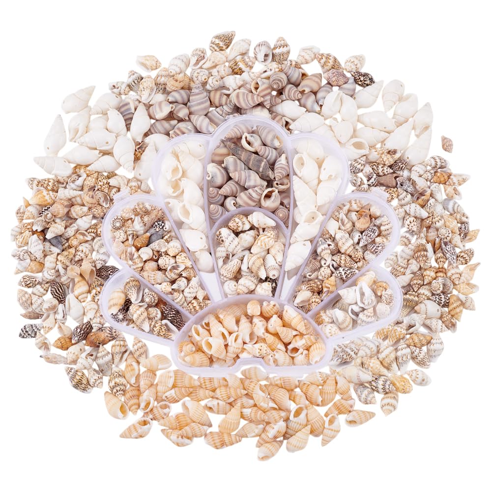 Amazon.com: PH PandaHall 460pcs Natural Spiral Shell Beads, 7~20mm