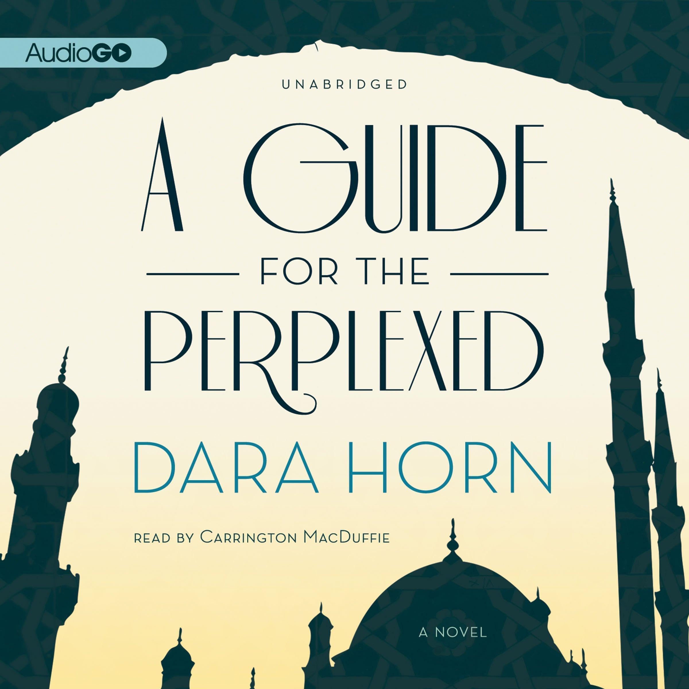 Cover art for A Guide for the Perplexed