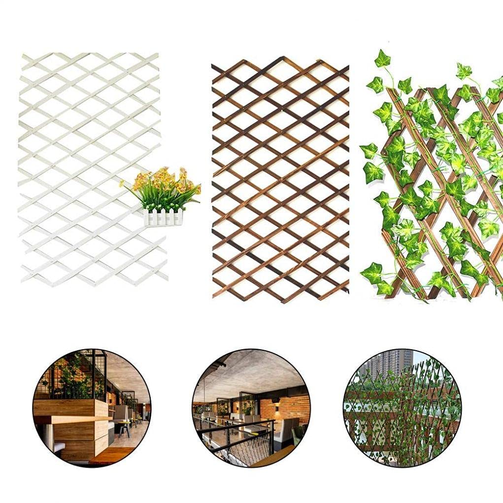 Recinzione retrattile in legno con foglie di edera artificiali, pannello espandibile da giardino per decorazione di vite per esterni, design ecologico