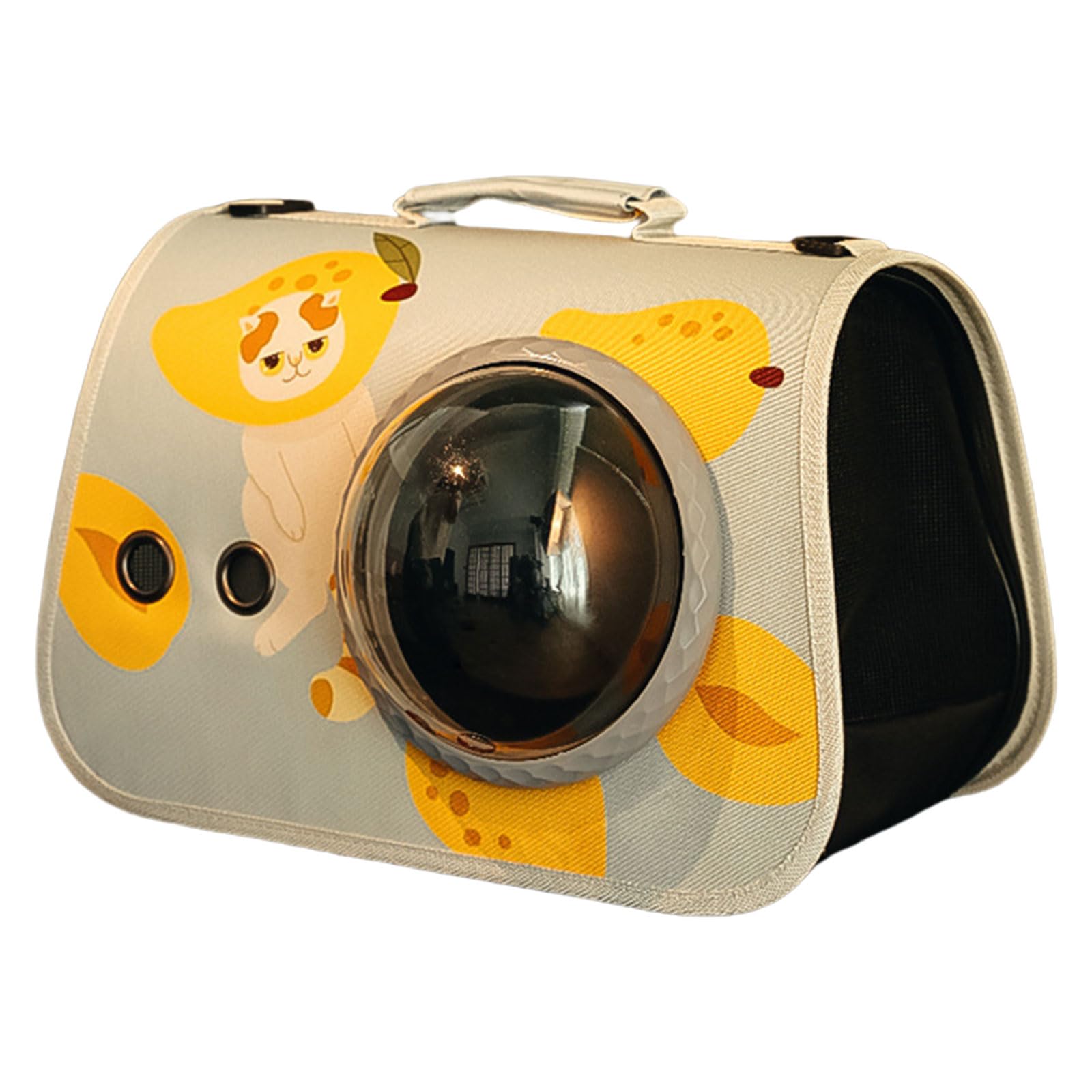 Cage de transport transparente pour chats et petits animaux de compagnie