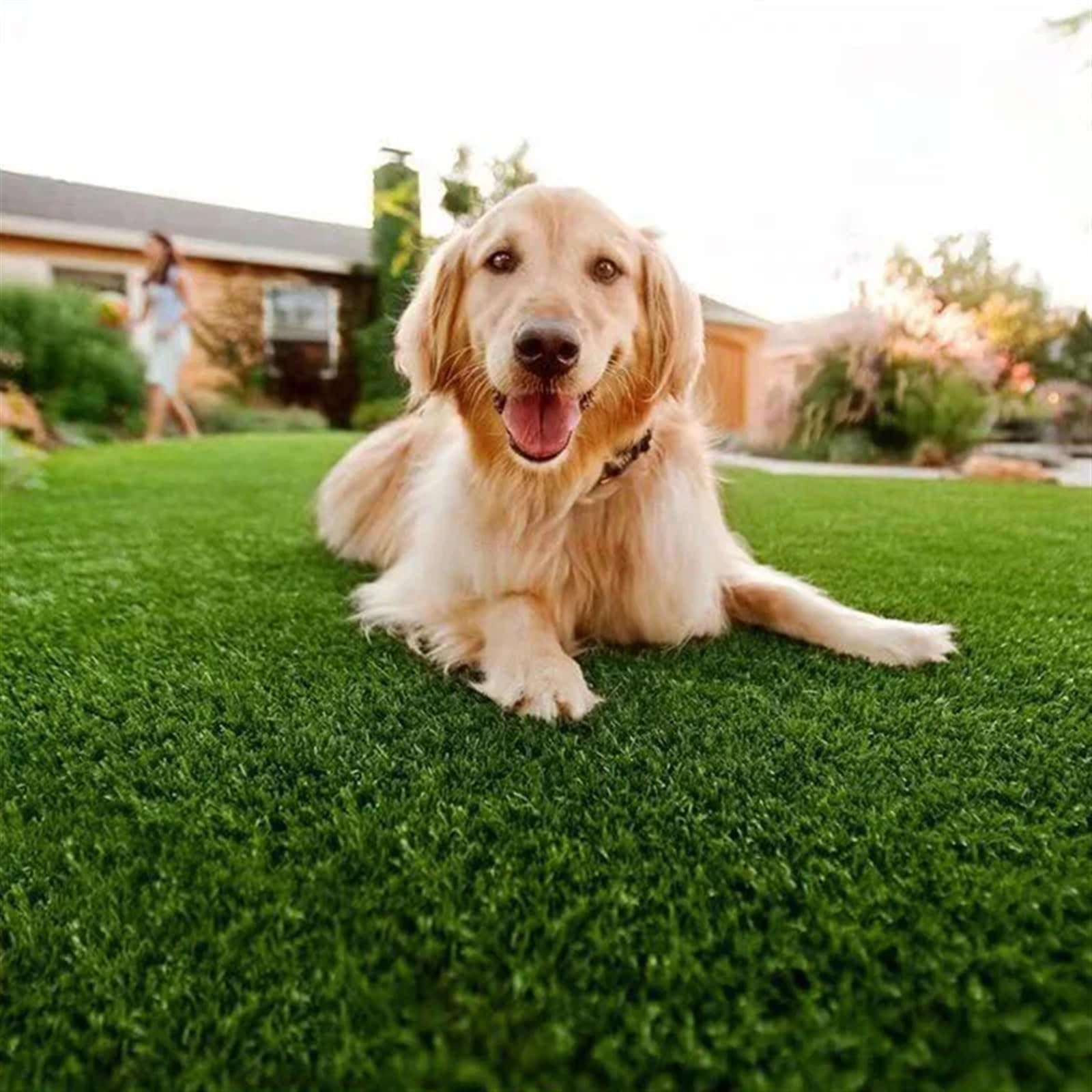 Erba Sintetica per Esterno Prato Artificiale Multiuso Erba Finta Giardino Fai da Te Simulazione Muschio Prati Tappetini Paesaggio Decorazioni for Il Pavimento della casa Interni/Esterni(1x2m)