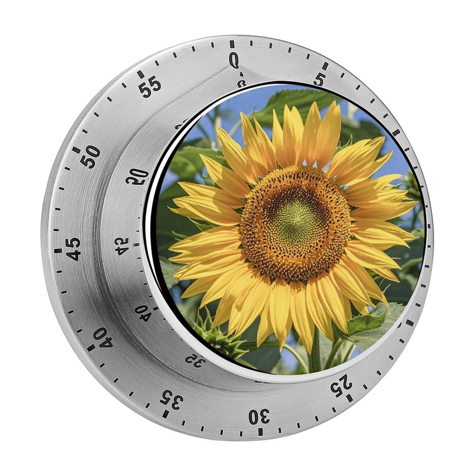 Sunflower Fashion Visual Timers Wind Up 60 Minutes Desk Stainless Steel Magnetic Timer Countdown Clock No Batteries Loud Alarm for Kitchen Chef Cooking