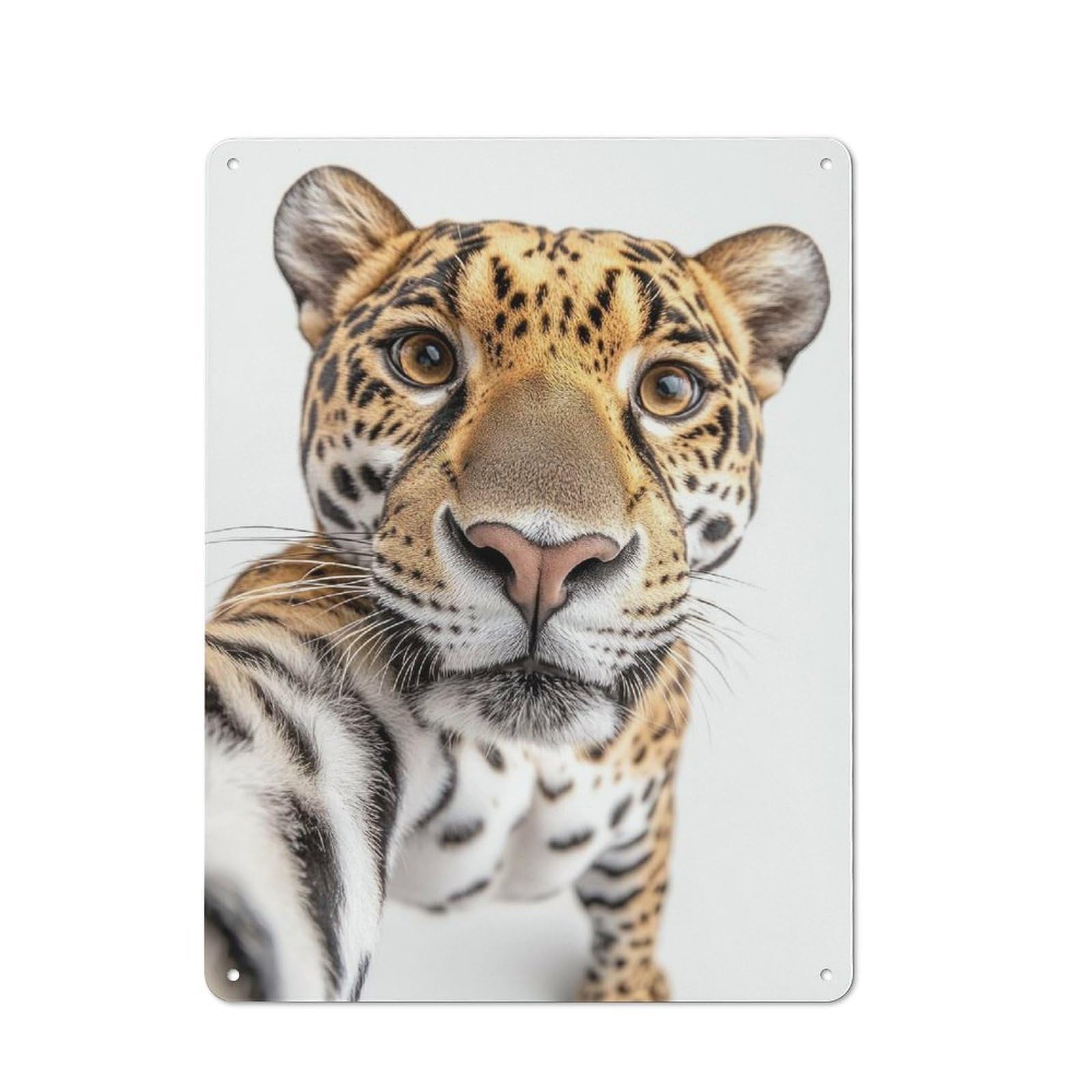 Junmoney Jaguar Selfie Tin Wall Plaque 40X30cm With For Home Bar Wall, For Kitchen And Home Bar Decor, For Home Office And Studio Walls