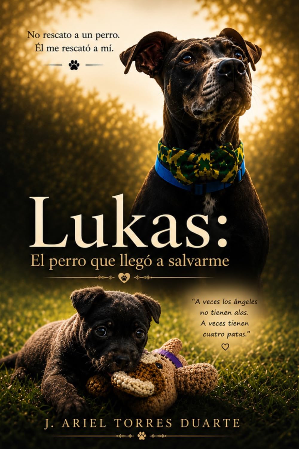 Lukas: El perro que llego a salvarme