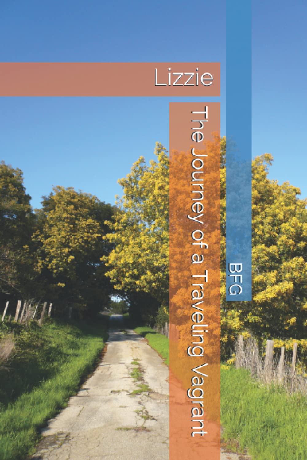 The Journey of a Traveling Vagrant: Lizzie
