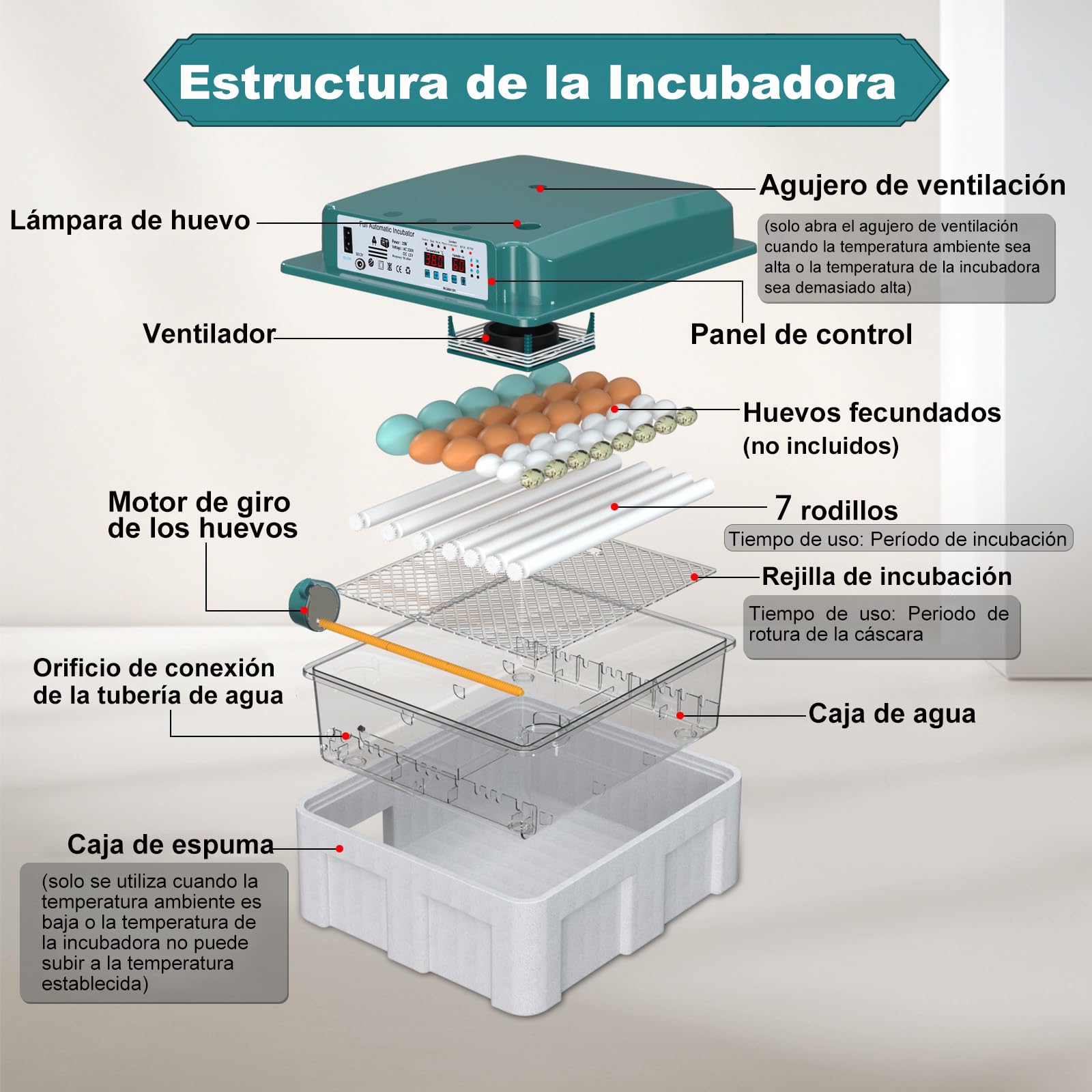 CoInceptus Incubadora Huevos Gallina, Incubadora de 24-36 Huevos con Volteo Automático de Huevos y Humidificación automática, Incubadora para Huevos de Gallina, Codorniz, Pato, con Lámpara de Huevo