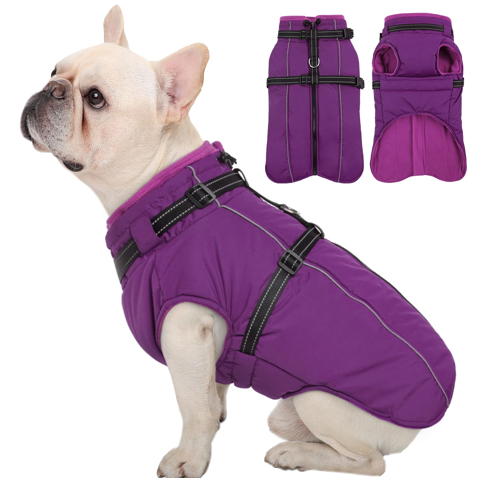 Kuoser Hundemantel für Kleine Hunde Winter, wasserdichte Hundejacke mit Geschirr, Warmer Hunde Wintermantel mit Fleece, Fleecemantel Hundepullover Lila S