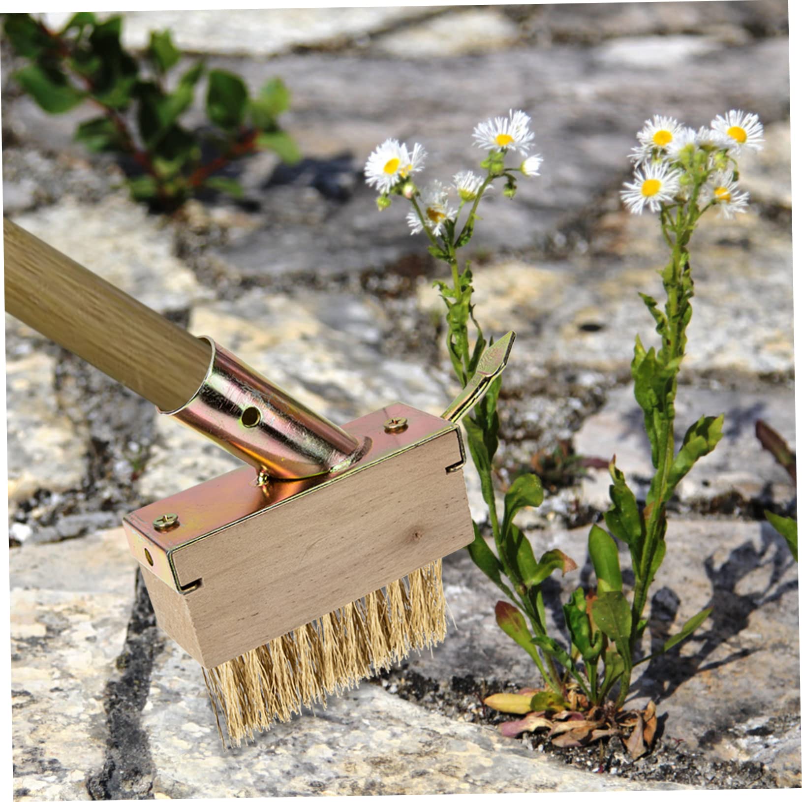 UPKOCH 5 Piezas cepillo de deshierbe cerda césped Eliminación exterior cable bloquear removedor de alambre de acero de jardinería cepillo para quitar musgo de madera Khaki