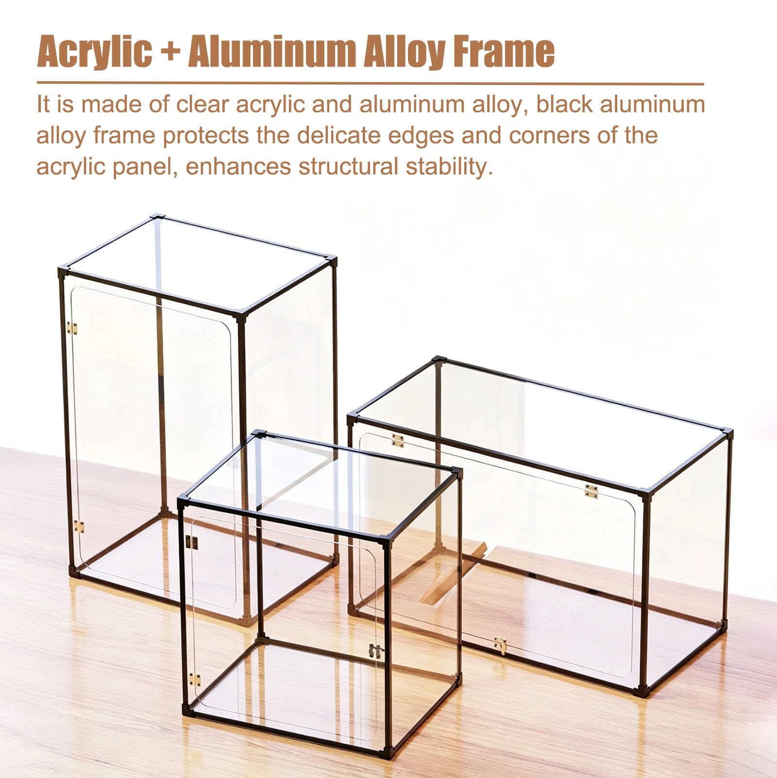 Teca Plexiglass Custodia Organizer Trasparente con Vista a 360°, Cerniera