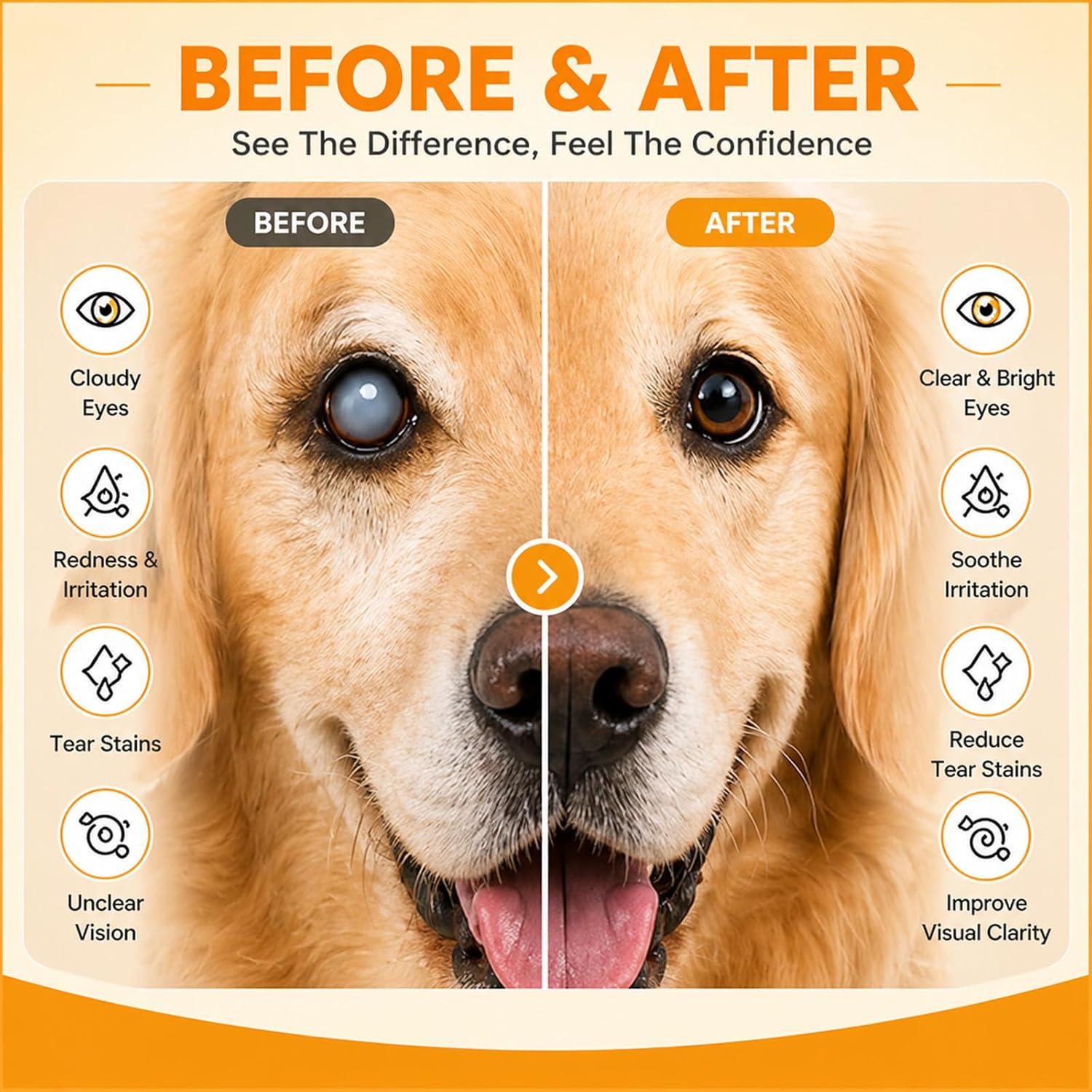 Aura Pets Advanced Vision Formula for Dogs, with Zeaxanthin, Astaxanthin, Lutein, Supports Vision and Overall Eye Health, Clears Debris, Reduces Cloudiness, 60ml