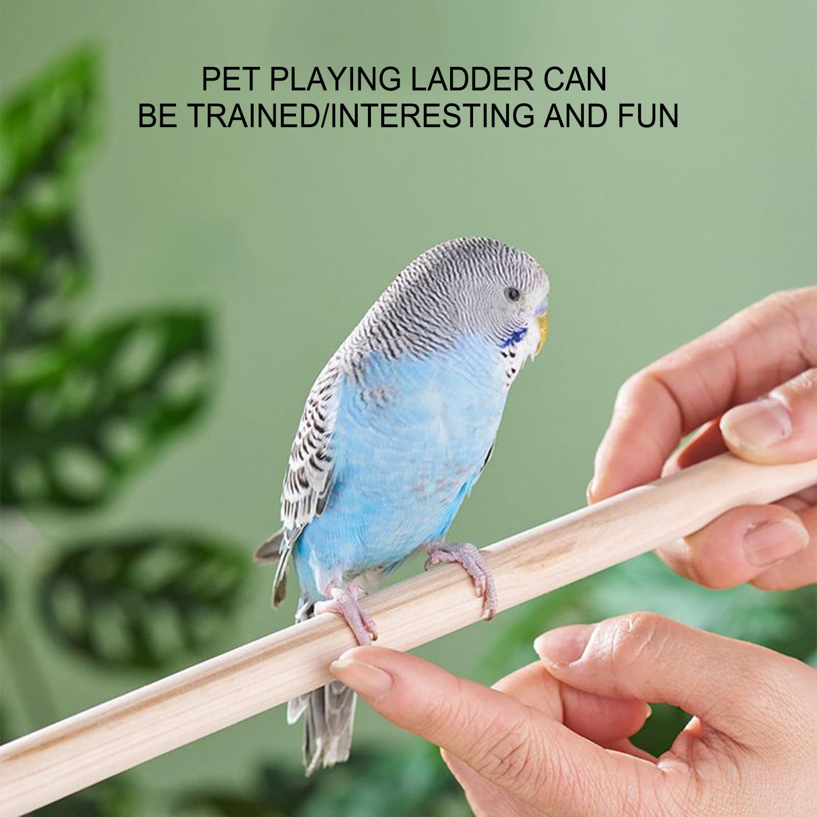 Bird Ladder Perch, Cage Climbing Accessory, 3.94x9.84in Exercise Toy Ladder, 360° Rotating Hook, Authentic Safe Material for Parakeets, Parrots, Cockatoos, Lovebirds, Indoor