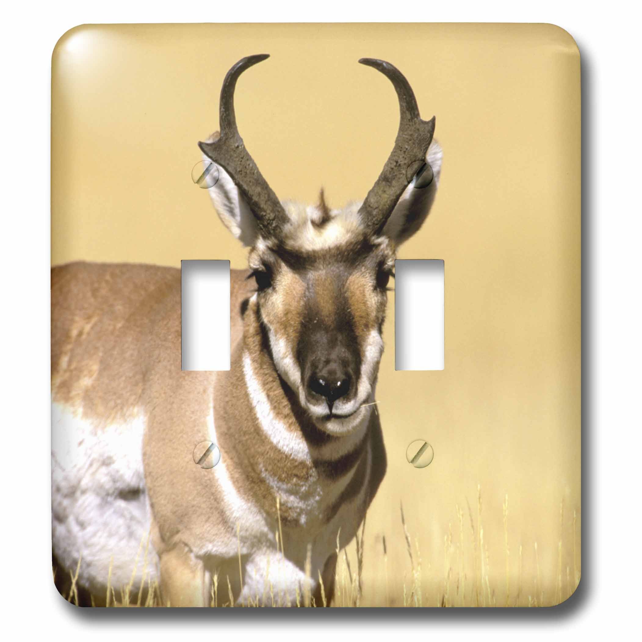 Double interrupteur USA Wyoming Yellowstone design faune sauvage pour décor rétro