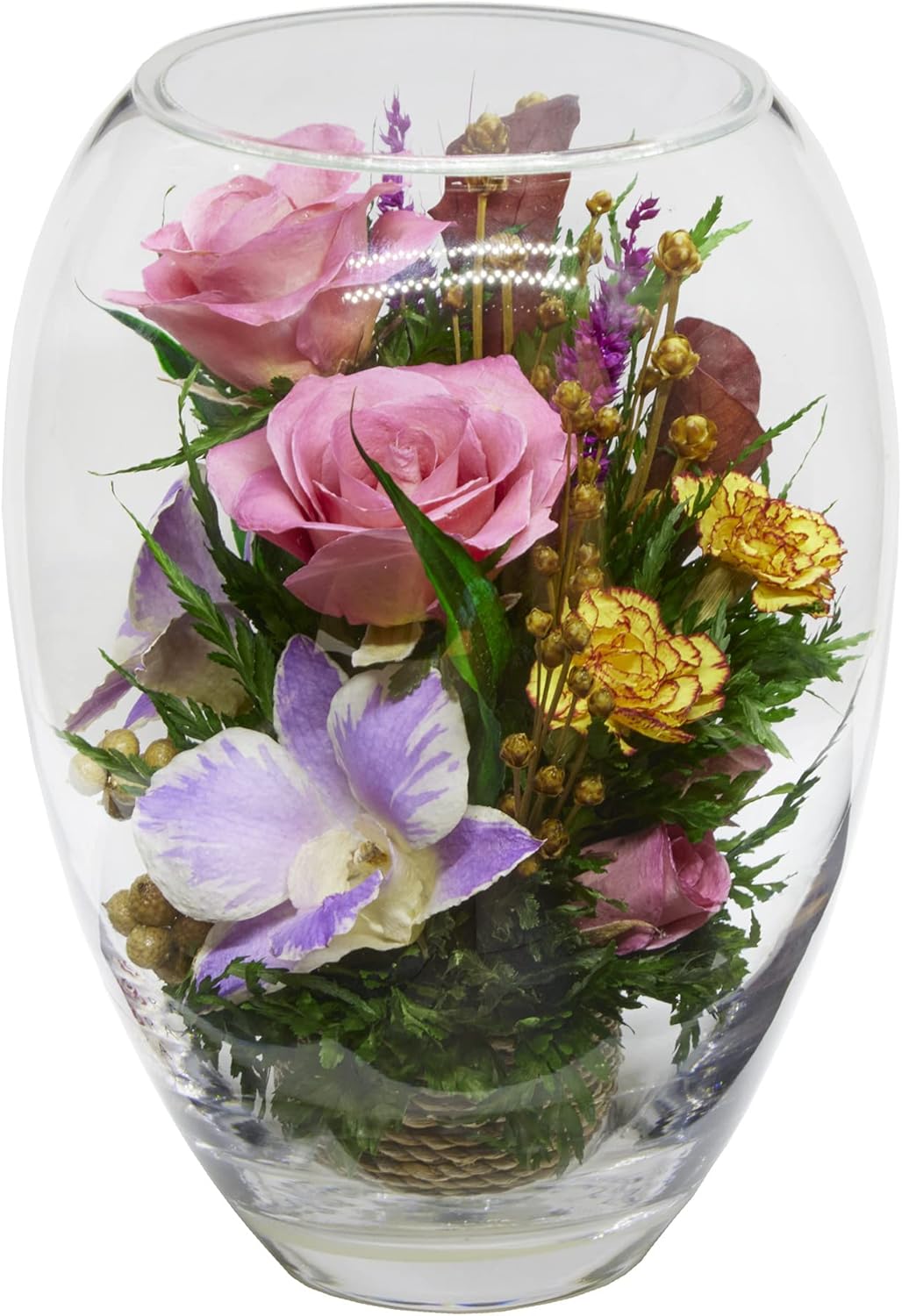 Luxury Orchid Arrangement | Preserved Orchids in Glass Vase | Long-Lasting Flowers for Anniversary, Wedding, or Corporate Gifts