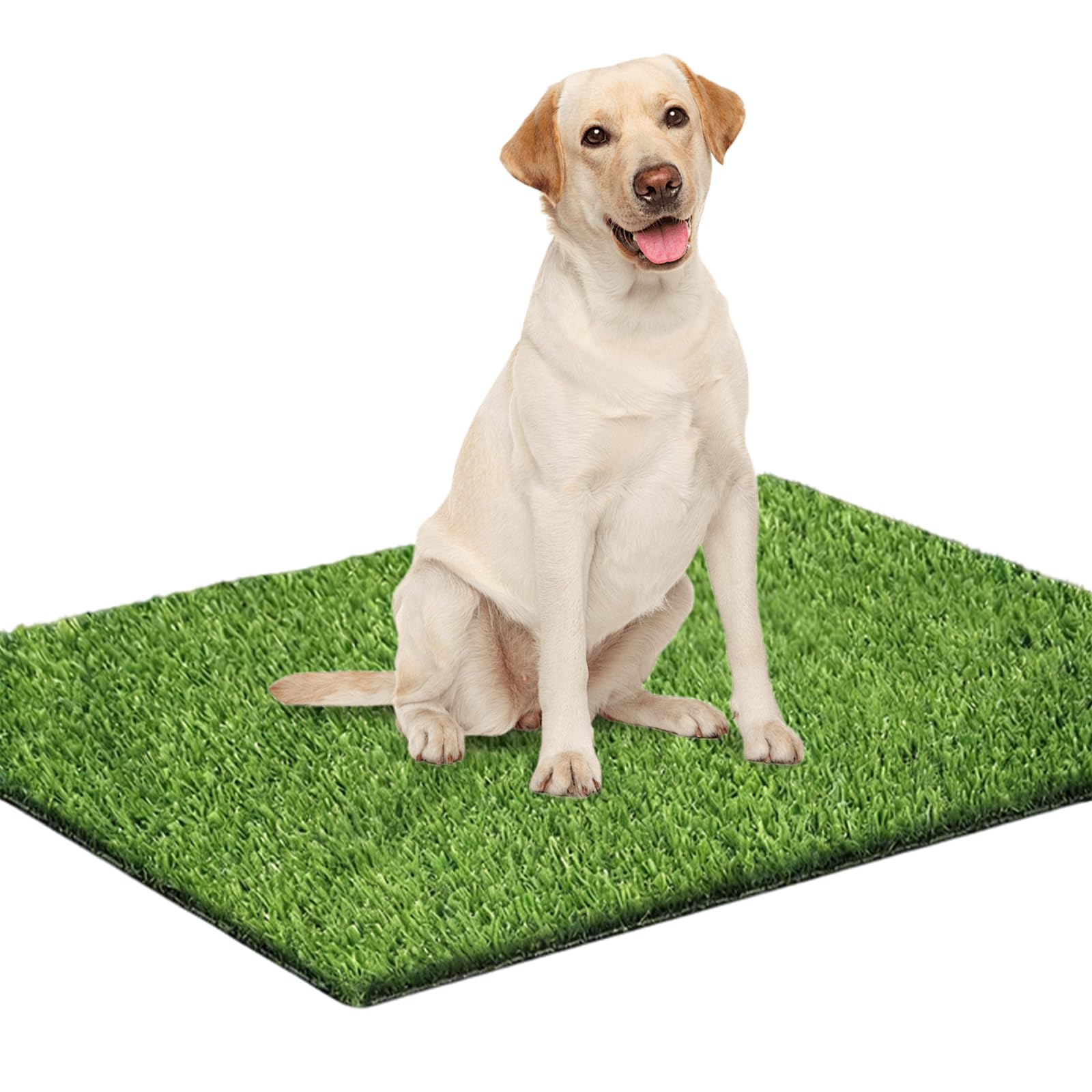 Inodoro para Perros de 70 x 50 cm con césped Artificial,Inodoro de Bandeja para Perros céspedArtificial, Inodoropara Perroscon Césped Artificial y Bandeja, para Uso Interior y Exterior