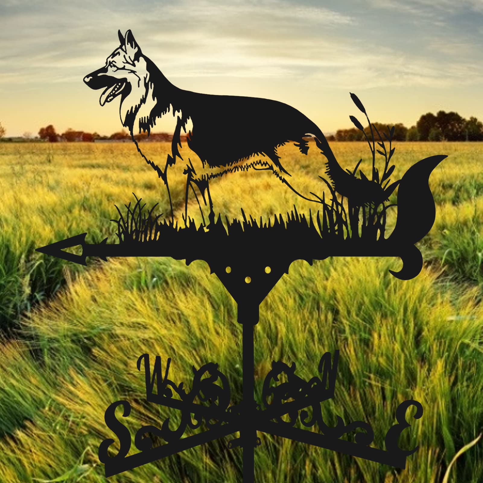 Segnavento da Giardino, Banderuola Segnavento in Metallo, Indicatore di Direzione del, retrò Scultura per Decorazione del Cortile Tetto Capannone Garage Fienile Esterni Giardino, Nero