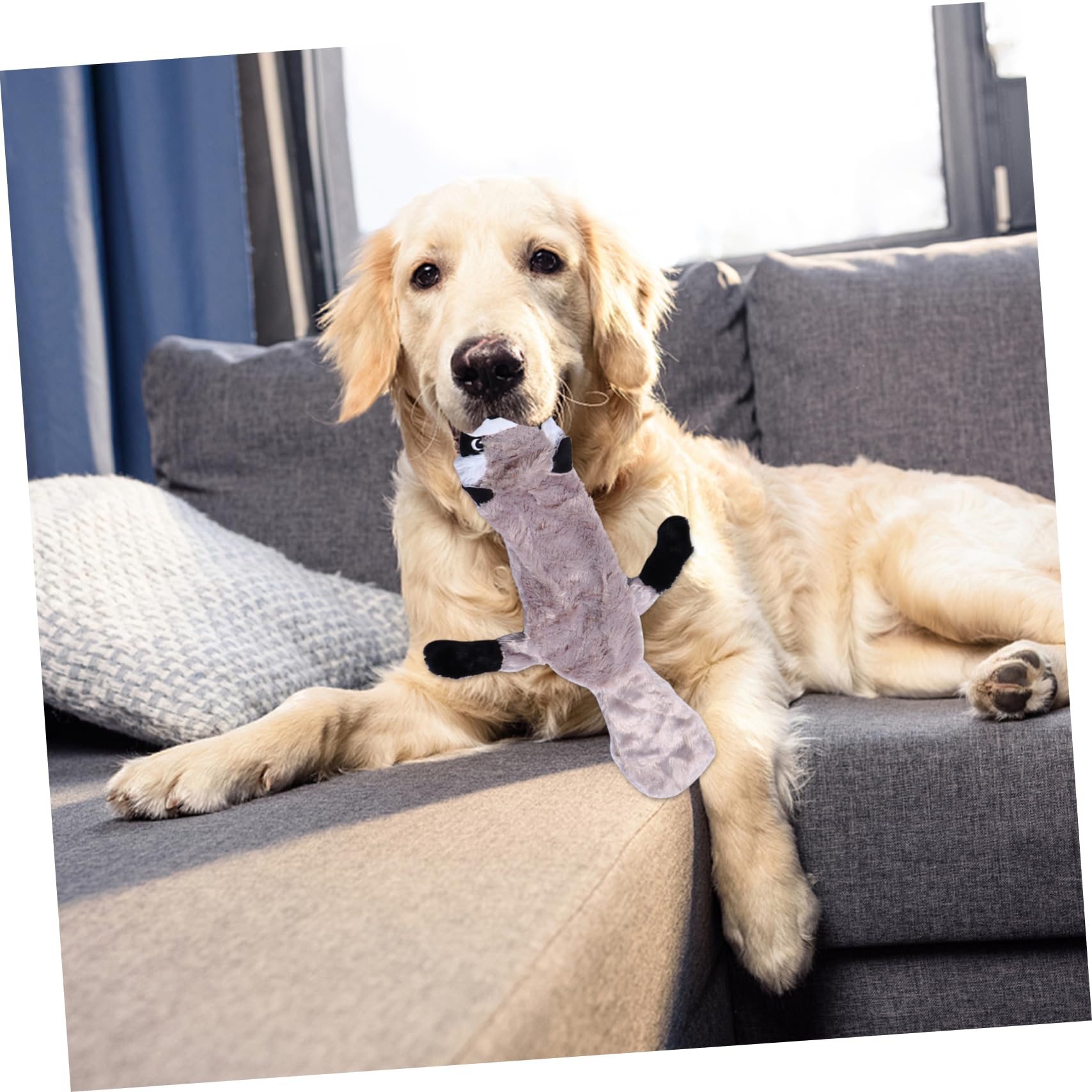 minkissy 6stücke Kauspielzeug Für Hunde Plüsch Molar Spielzeug Mit Geräuschfunktion Interaktives Kau Und Spielzeug Für Welpen Zur Zahnpflege Für Stundenlangen Spaß