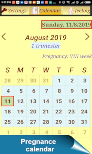 Pregnancy Assistant and Pregnancy Calendar