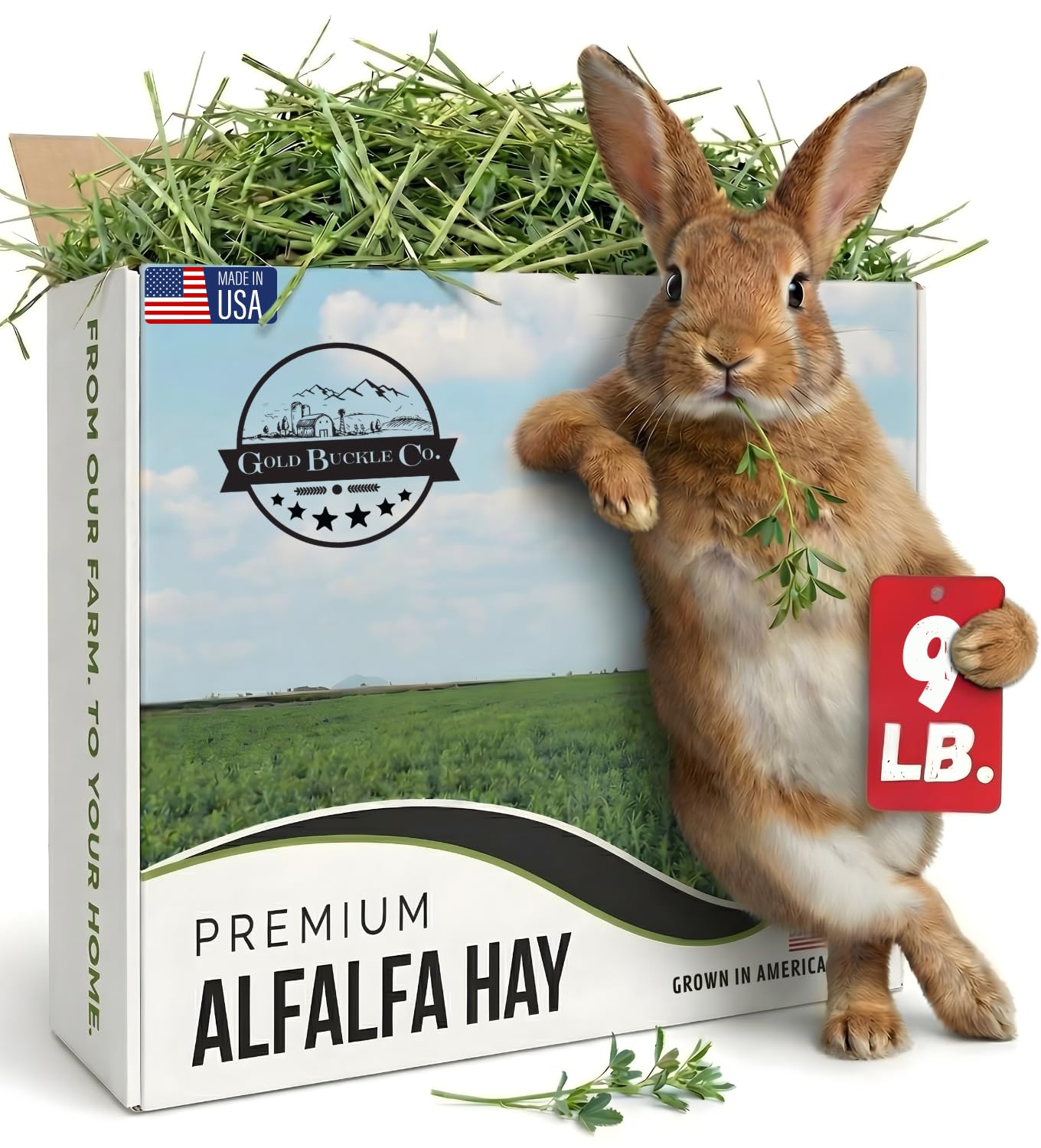 Co 9lb Farm Fresh, USA Grown, Organic Alfalfa Hay for Rabbits, Guinea Pigs, Chinchillas, Goats, Hamsters & Ferrets - Rabbit Food Rich in Protein & Fiber - Just Dried, Hand-Selected