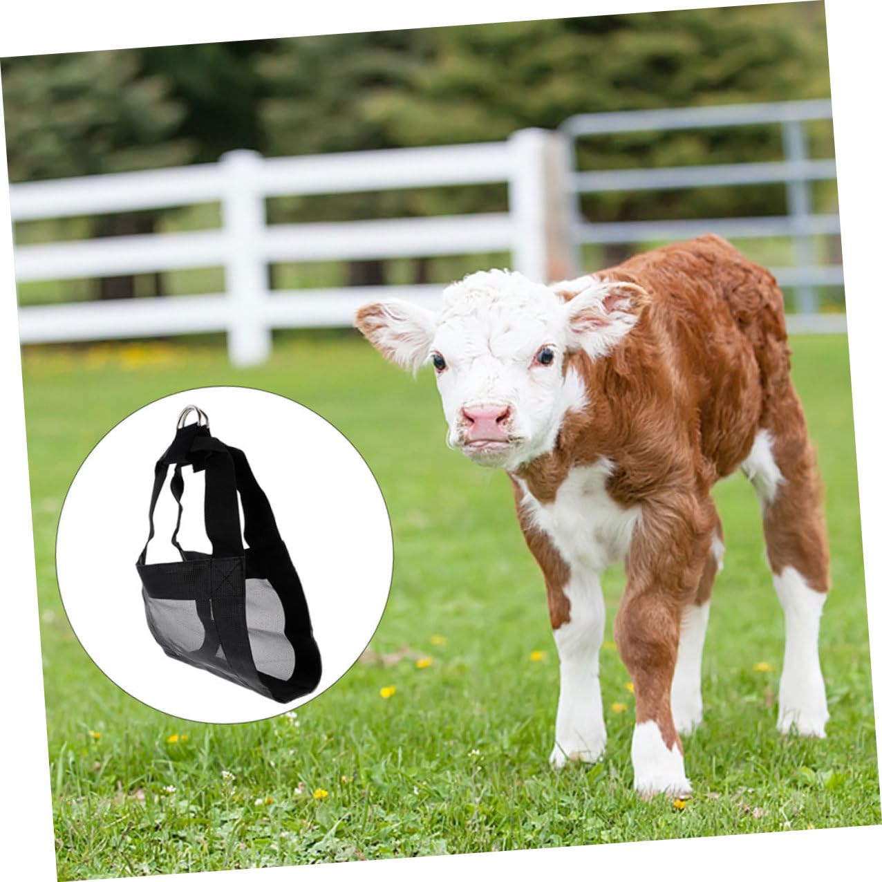 SHERCHPRY Imbracatura Pesatura Bestiame in Nylon Nero 2 Pezzi per Vitelli Ragazzo Ragazza e Piccoli Animali Facile da Usare Resistente e Non Si Deforma