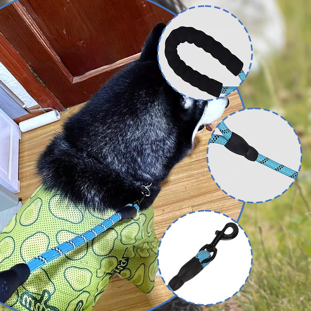 Short Dog Lead with Soft Padded Handles and Reflective Threads Walking Dog Rope Dog Lead Rope for Small Medium and Large Dogs (blue) - Image 3